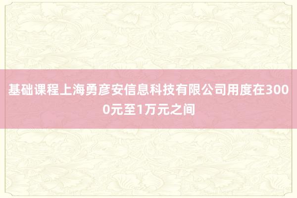 基础课程上海勇彦安信息科技有限公司用度在3000元至1万元之间