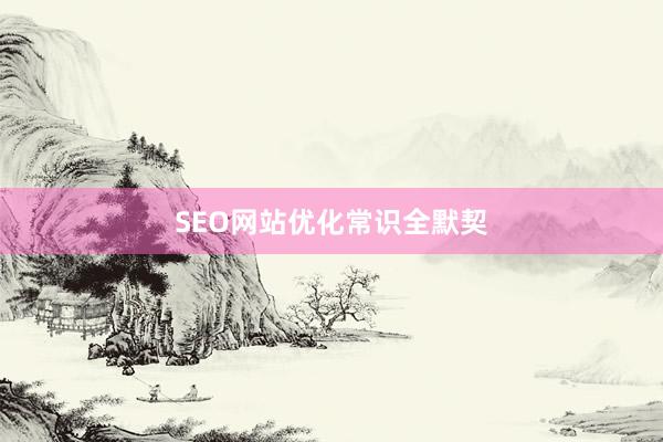 SEO网站优化常识全默契